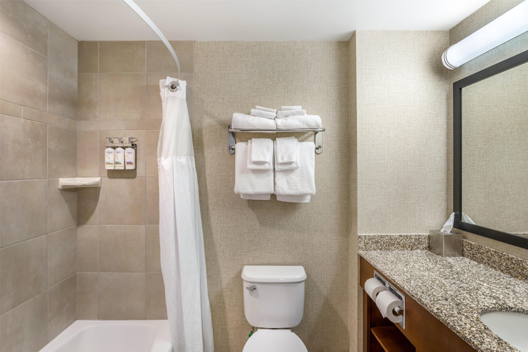 Bathroom 4, Best Western Plus Service Inn & Suites, Division No. 2