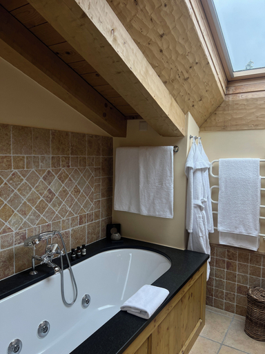 Bathroom 5, LeCrans Hotel & Spa, Sierre