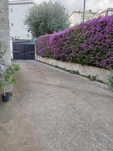 Others 3, Giardino delle arance Luxury Rooms, Palermo