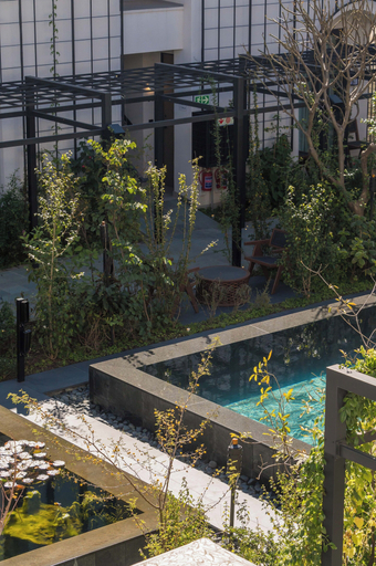Sport & Beauty 2, Park Hyatt Johannesburg, City of Johannesburg