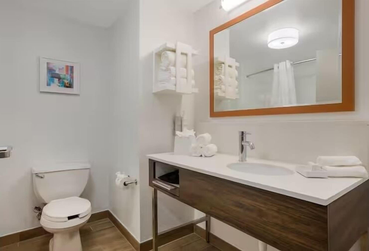 Bathroom 4, Hampton Inn Linden, Union