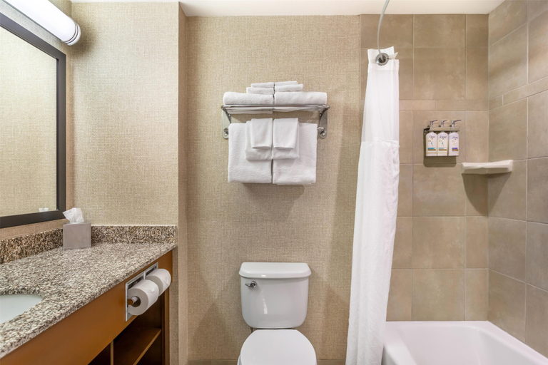 Bathroom 4, Best Western Plus Service Inn & Suites, Division No. 2
