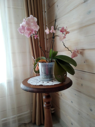 Others 5, Voskresenskaya Dacha, Krasnosel'skiy rayon