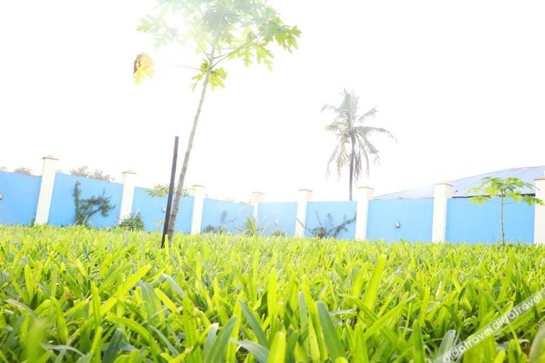 Others 5, Green's Hostel Nungwi, Kaskazini 'A'