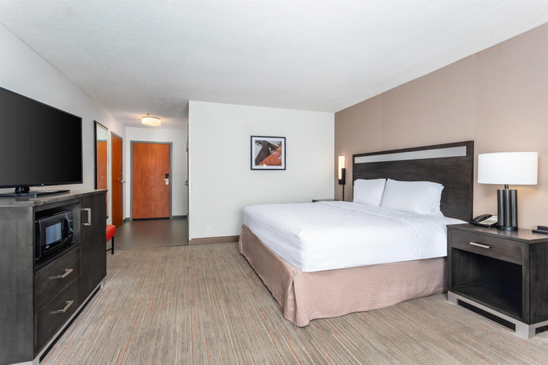 Bedroom 3, Hampton Inn Akron-South, Summit