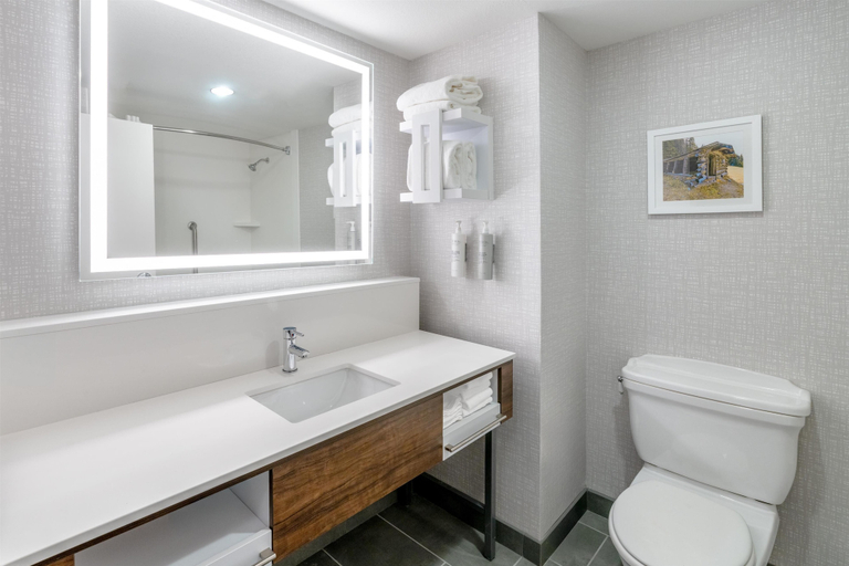 Bathroom 4, Hampton Inn Sheridan, Sheridan