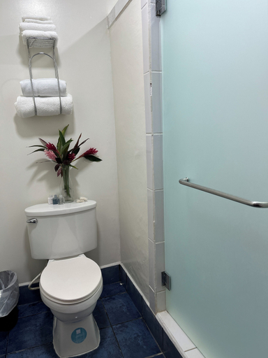 Bathroom 3, Brisas Del Mar Roatan, Roatán