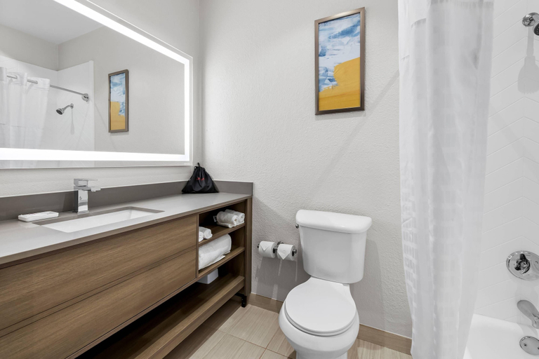 Bathroom 4, Comfort Suites Texarkana Texas, Bowie
