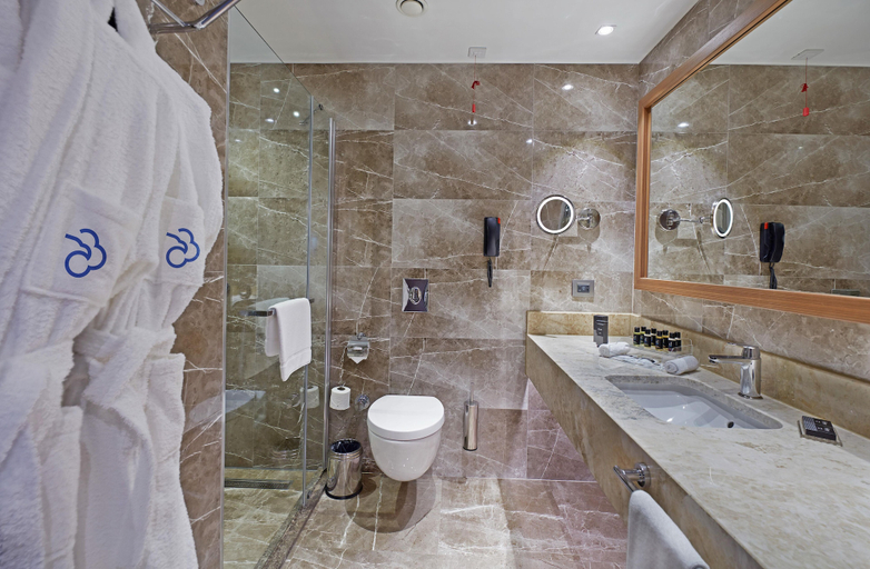 Bathroom 5, Dedeman Kayseri, Hacılar