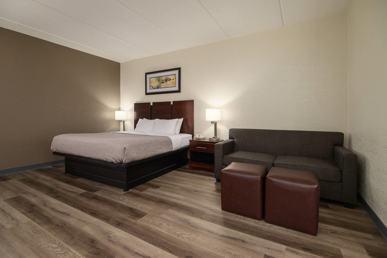 Bedroom 4, Quality Inn & Suites Lexington South, Davidson