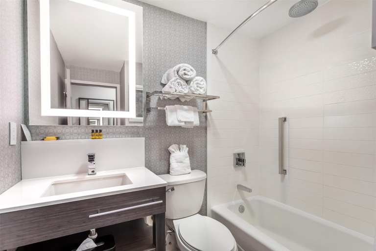 Bathroom 4, Best Western Downtown Plus Music Row, Davidson
