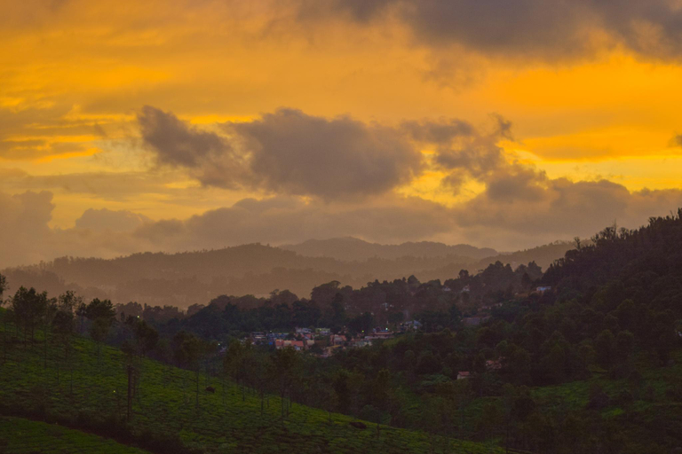 Others 5, Ibex Resorts, Coonoor (Leewood), The Nilgiris