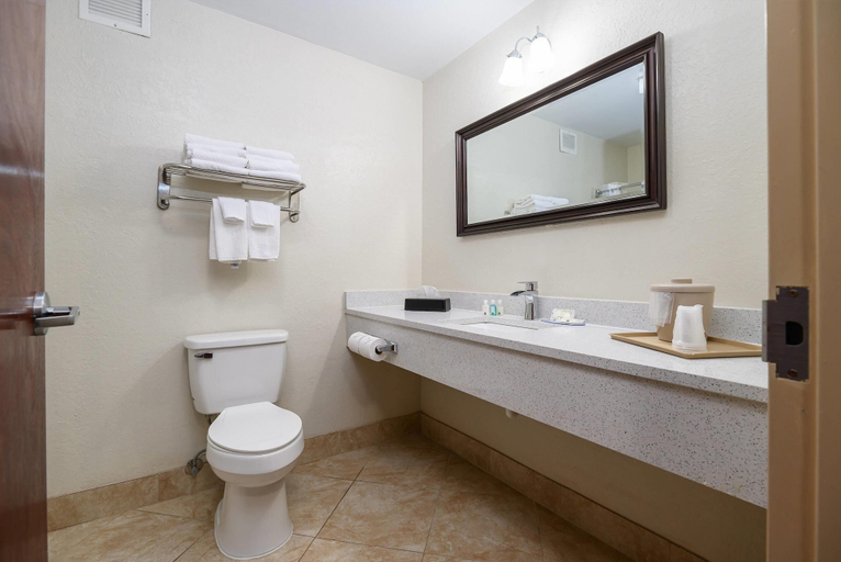 Bathroom 5, Quality Inn & Suites Lexington South, Davidson