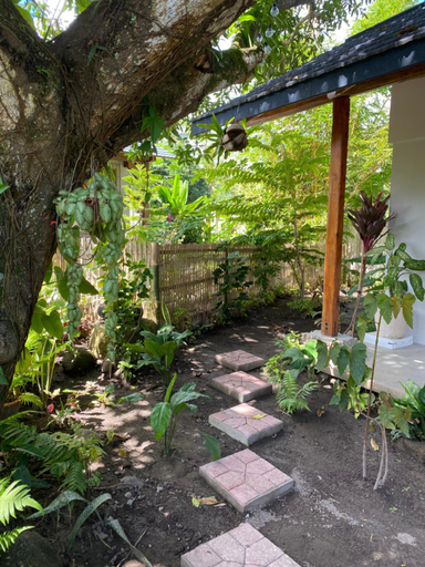 Others 5, Under the mango tree at Klipp Residence, Valencia