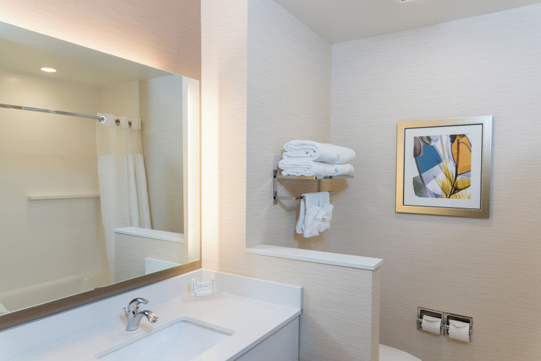 Bathroom 3, Fairfield Inn & Suites by Marriott Indianapolis Fishers, Hamilton