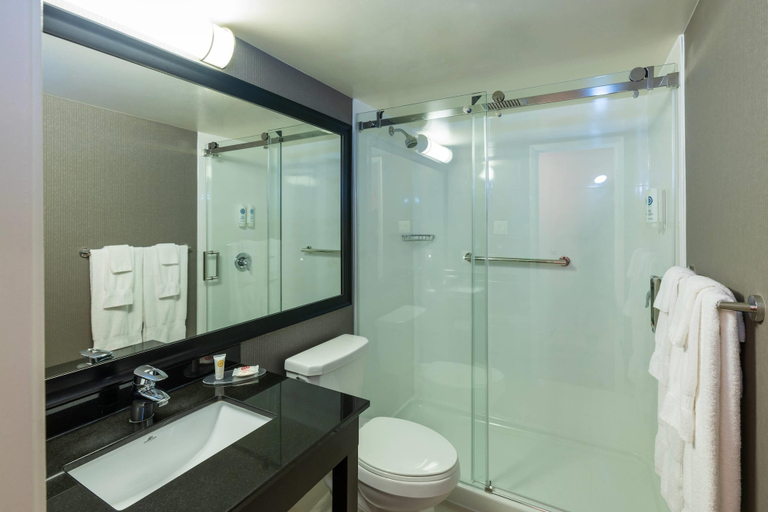 Bathroom 4, Comfort Inn Corner Brook, Division No. 5