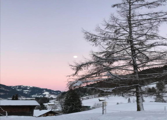 View from property 2, Beautiful Alpine Luxury Flat in Rougemont, Pays-d'Enhaut