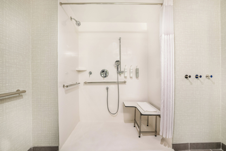 Bathroom 4, Hampton Inn Fort Myers Downtown, Lee
