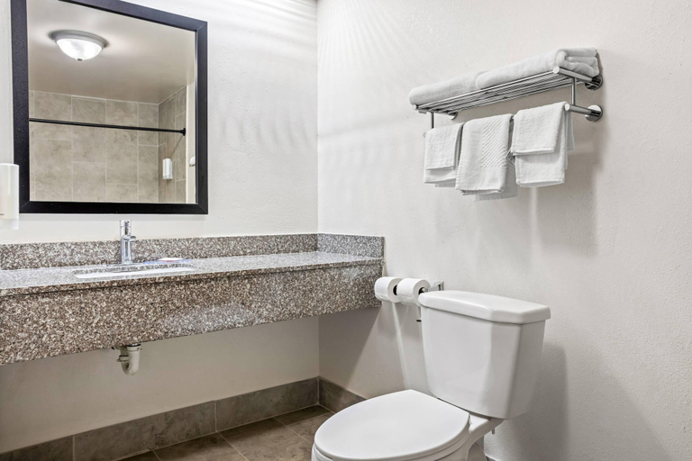 Bathroom 5, Econo Lodge Jesup, Wayne