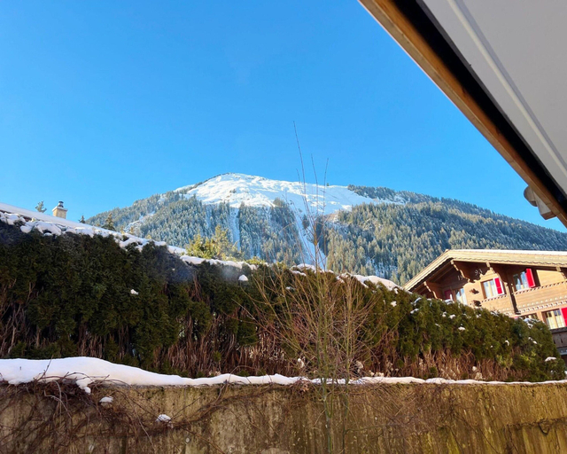 View from property 5, Contemporary Swiss Escape, Saanen