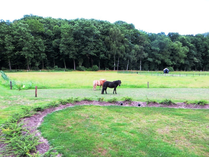 Miscellaneous 2, Beautiful Holiday Home With hot tub, Enschede