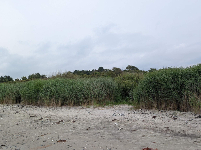 Beach 4, 4 Person Holiday Home in Allingabro, Norddjurs