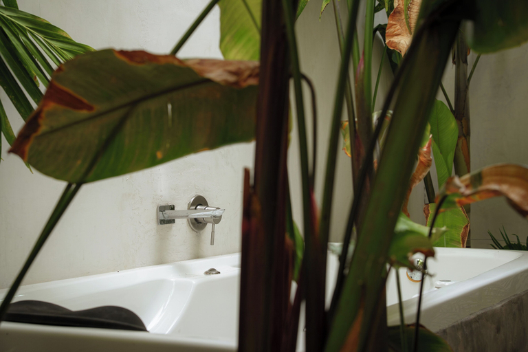 Bathroom 4, Villa Quetzalpapalotl, La Huerta