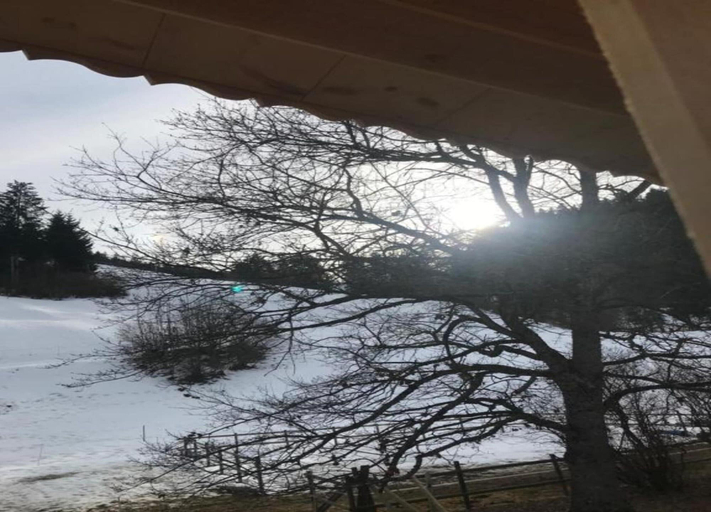 View from property 2, Apartment in Gstaad With Stunning Mountain Views, Pays-d'Enhaut