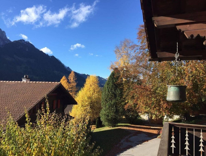 Exterior & Views 2, Amazing Chalet With Breathtaking Views, Pays-d'Enhaut