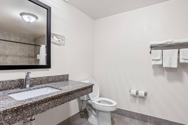 Bathroom 5, Econo Lodge Jesup, Wayne
