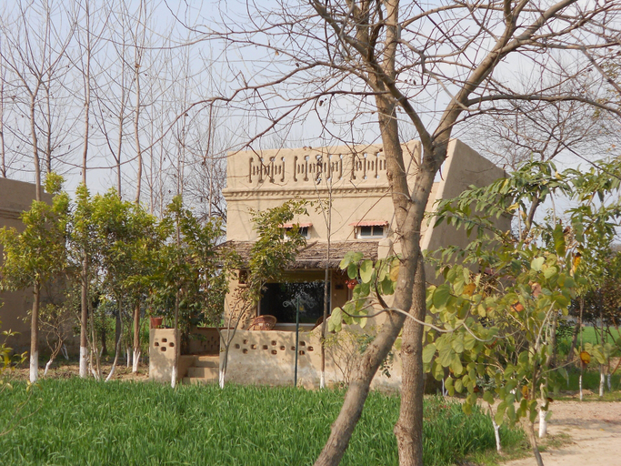 Room 5, Punjab village farm near Amritsar, Gurdaspur