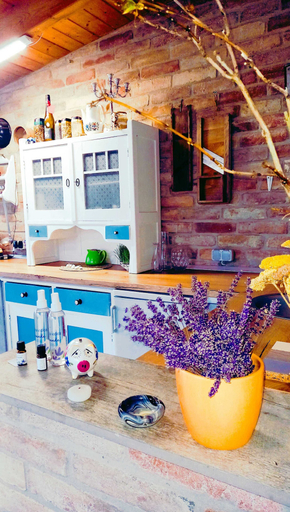 Food & Drinks 4, Holiday Home Paunovaca, Erdut