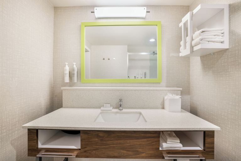 Bathroom 4, Hampton Inn Fort Myers Downtown, Lee