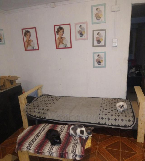 Others 4, Casa de alojamiento, Santiago