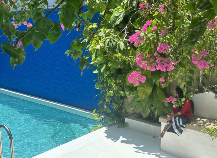 Others 2, Kue Hotel Maafushi, Maafushi Island