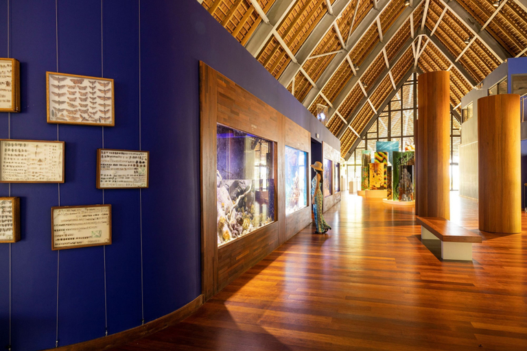 Room 4, Moorea - Paopao Pool Mountain