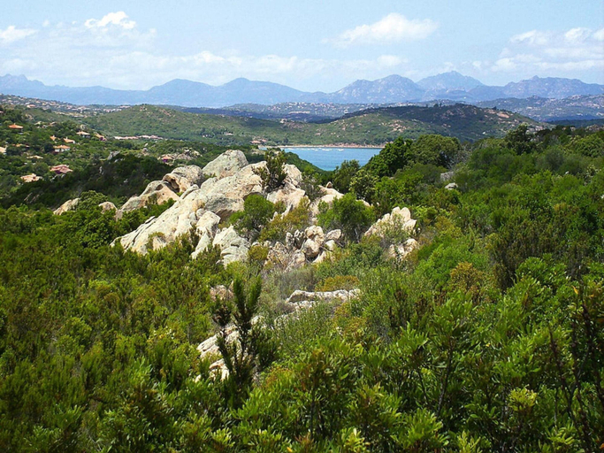 Others 4, Apartment in Monte Petrosu Near San Teodoro, Nuoro
