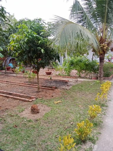Others 2, Prague Bungalow Phu Quoc, Phú Quốc