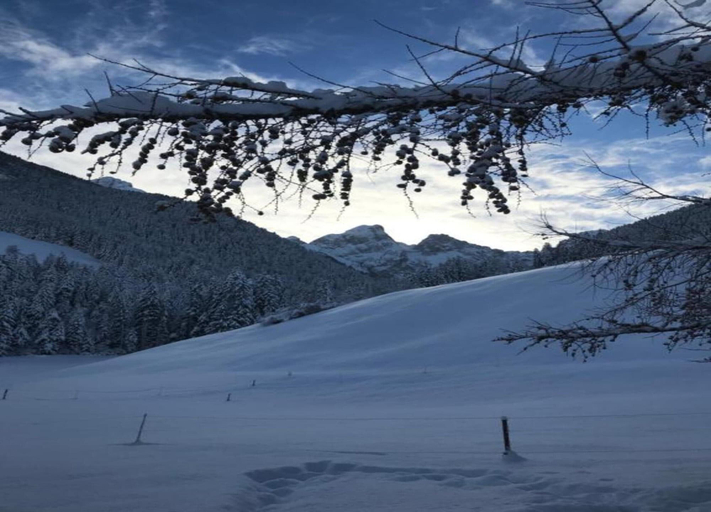 View from property 5, Apartment in Gstaad With Stunning Mountain Views, Pays-d'Enhaut