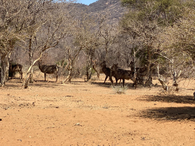 Others 4, Motlopi Farm, Waterberg