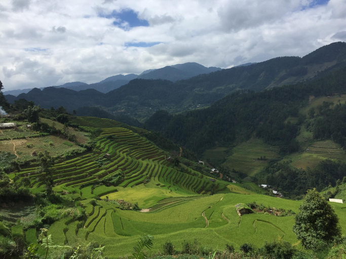 Others 3, Sapa Eco Garden Homestay, Sa Pa
