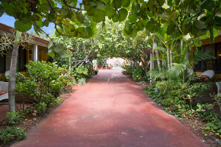 Public Area, Beach Place Guesthouses, Brevard