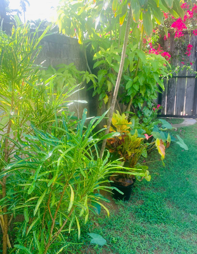 Others 2, Villa La Verna, Hikkaduwa