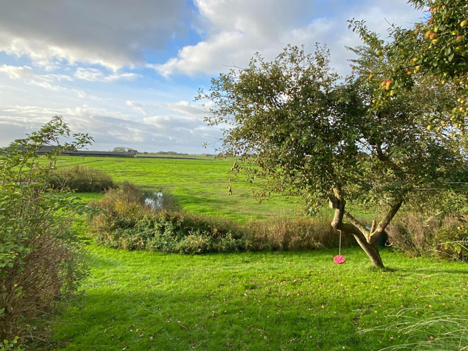 Garden 3, Opas Hus auf Pellworm, Nordfriesland