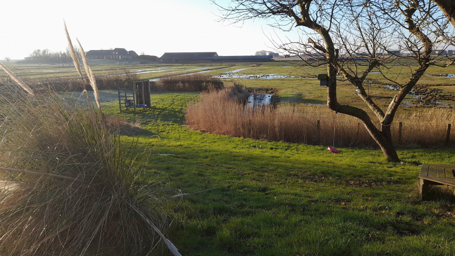 View from property, Opas Hus auf Pellworm, Nordfriesland