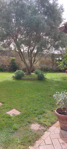 Others 5, Bed And Breakfast A CASA DI LEO, Viterbo