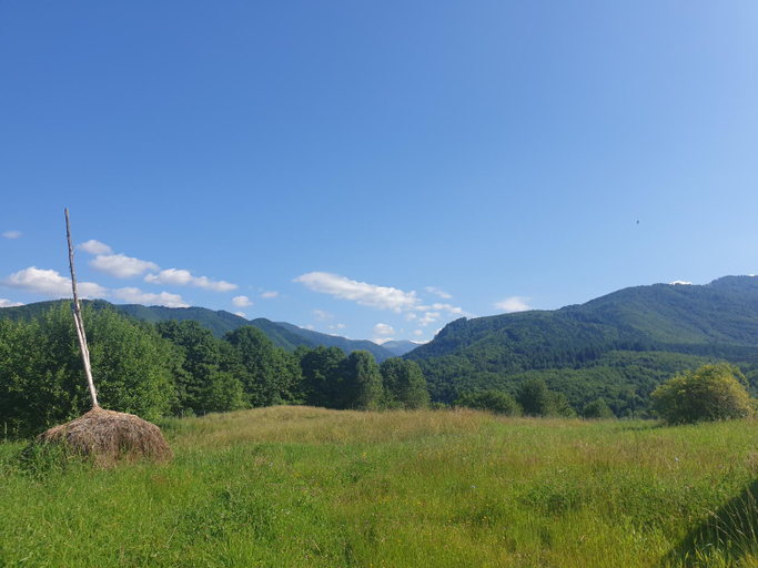 Others 3, Valea Doamnei, Nucsoara