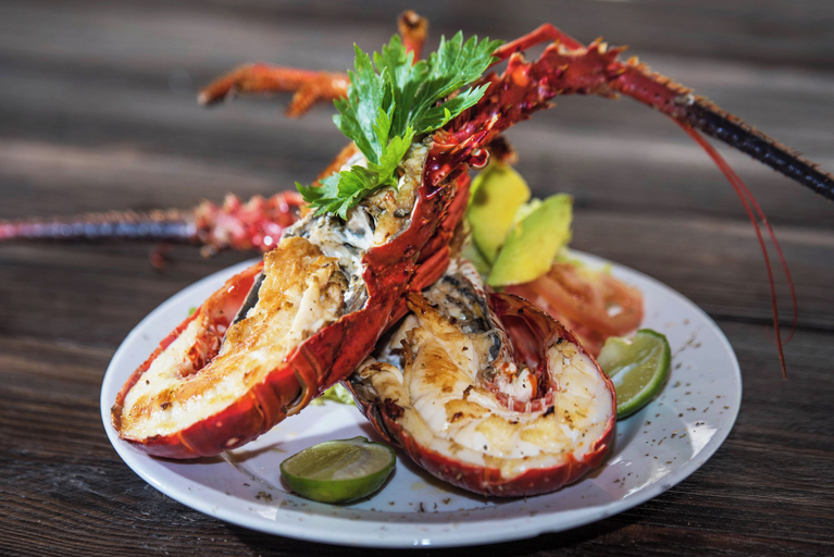 Food & Drinks 5, Hotel Isla del Sol, Cartagena de Indias