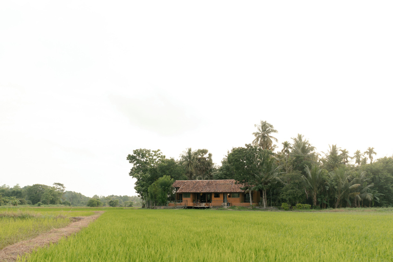 Exterior & Views 2, Kirindi Paddy Isle, Katana