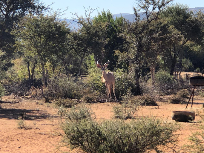 Others 2, Motlopi Farm, Waterberg